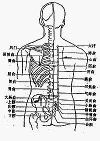 關位源|醫砭 » 經穴庫 » 關元